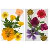 32Pcs Realistic Flower Pressed Florals Kits 4 Pack Natural Florals Craft Supplies For Resin Decorations And Gifts