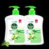 Dettol Healthy Antibacterial Hand Wash
