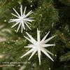 3D Glitter Explosion Star Acrylic Christmas Tree Ornament