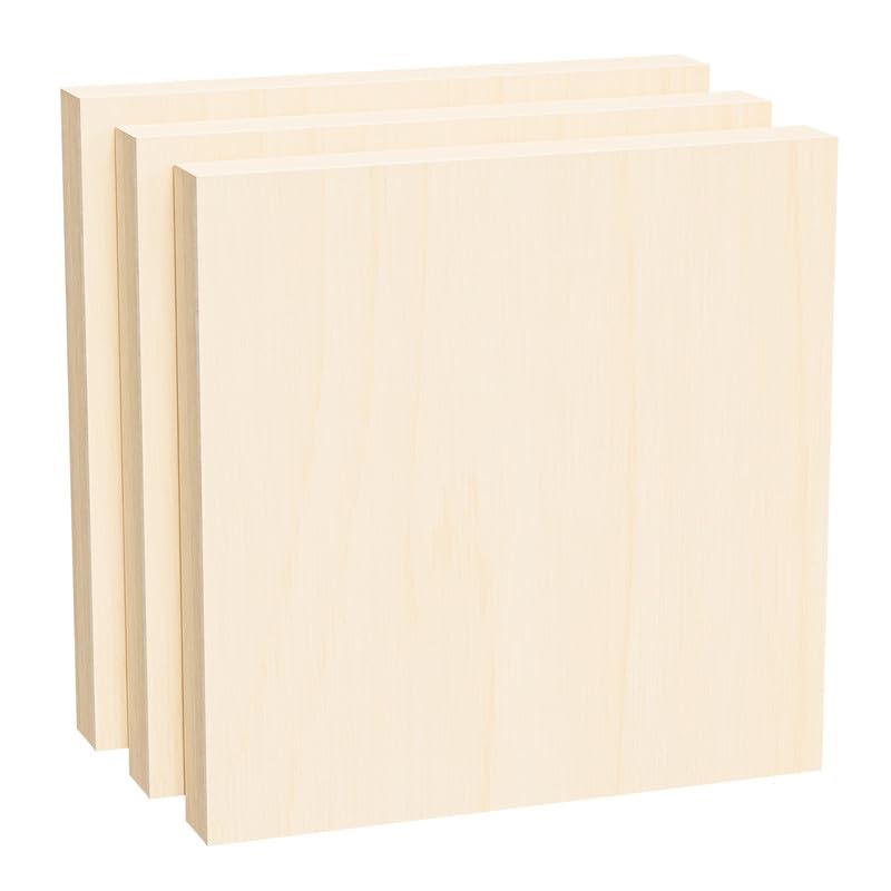 Wooden Canvas Board, Wooden Panel, Stretched Canvas, Canvas, Plywood Panel, Square Wooden Panel S20 (200x200mm), Art Supplies, Wooden Frame, Drawing B