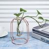 Transparent Hydroponic Plant Vases Flower Pot Tabletop Home Decorations