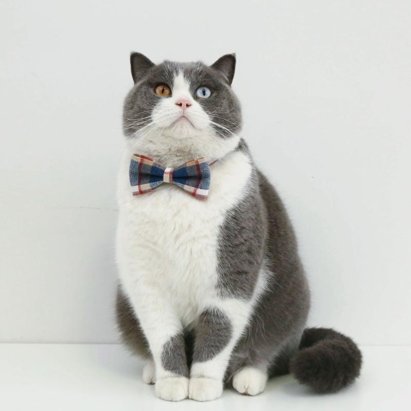 2PCS Adjustable Cat Collar Christmas Party Dogs BowTie Collar Pet Breakaway Necktie Collar Pet Festival Party Supplies