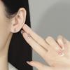 S925 Silver Music Note Violin Hollow Stud Earrings Personalized Exquisite Small Asymmetric Zircon Guitar Earrings Women