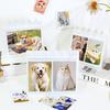 Simple PP Photo Album Clear 3/4/5/6 Inch Photo Card Binder Loose Leaf Design Mushroom Hole Photocard Holder DIY Photo Album