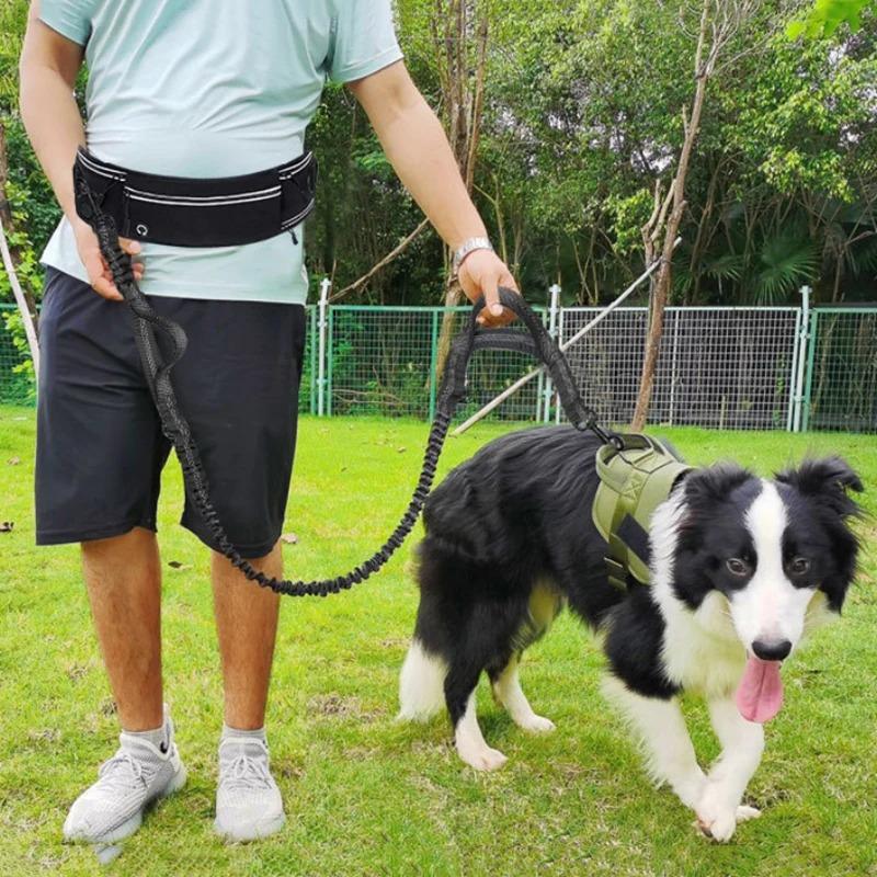 Freihändige Hunde-Hüftleine zum Laufen und Spazierengehen, Hüft-Laufleine mit Reißverschluss, Gürteltasche für den Hundespaziergang, Reflektierende, doppelt gepolsterte Griffe