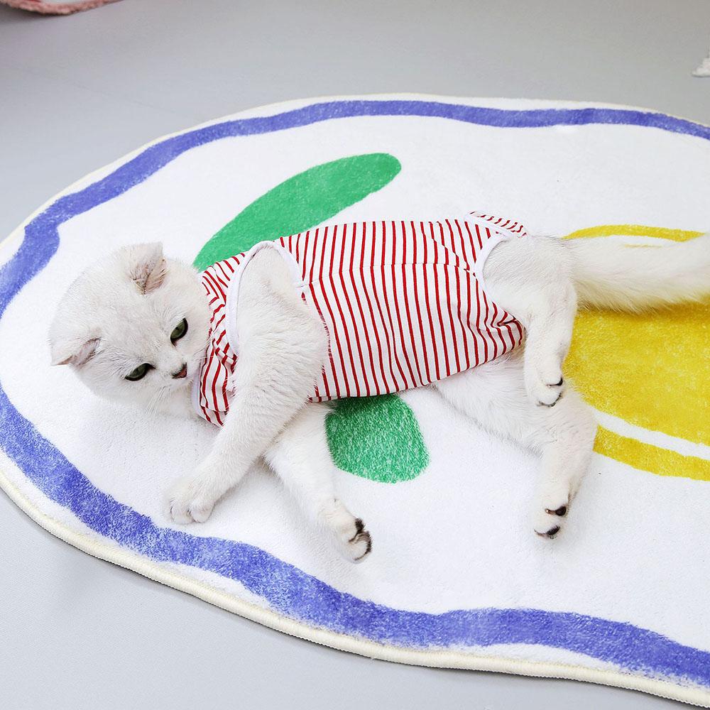 Cat Recovery Suit Puppy Dog Kitten Surgical Full Bodysuit for Abdominal Wound Protector Anti Licking Male & Female Pets Clothing