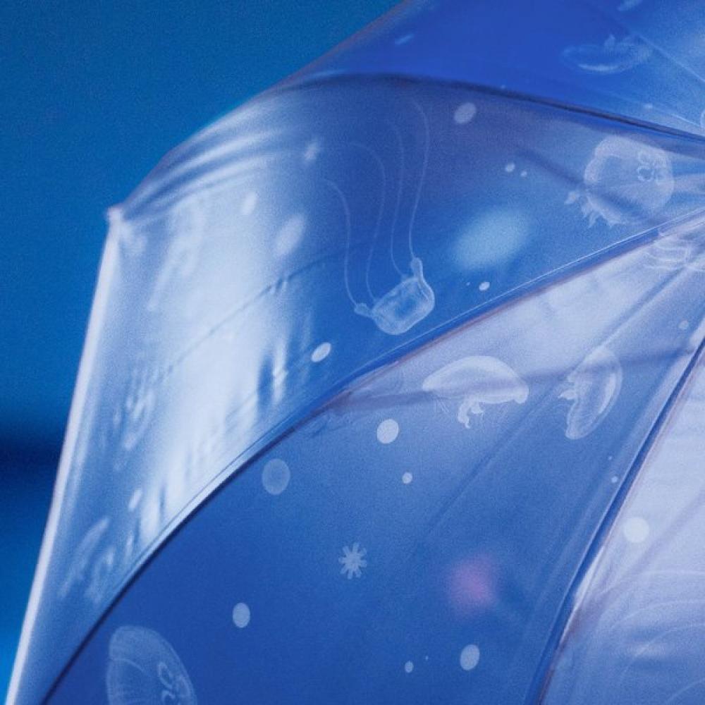 Wpc Durable Vinyl Umbrella Aquarium Pt En 001 Jangwusan_blue (02-001)