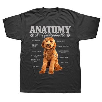Na górę – T-shirty i koszulki