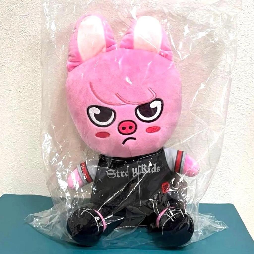 [USED] Stray Kids Stadium Changbin SKZOO Ecopa Plush Toy