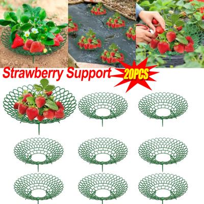 20pcs Strawberry Stand with 3 Sturdy Legs - Plant Support Growing Frame, Ideal for Keeping Garden Strawberries Clean
