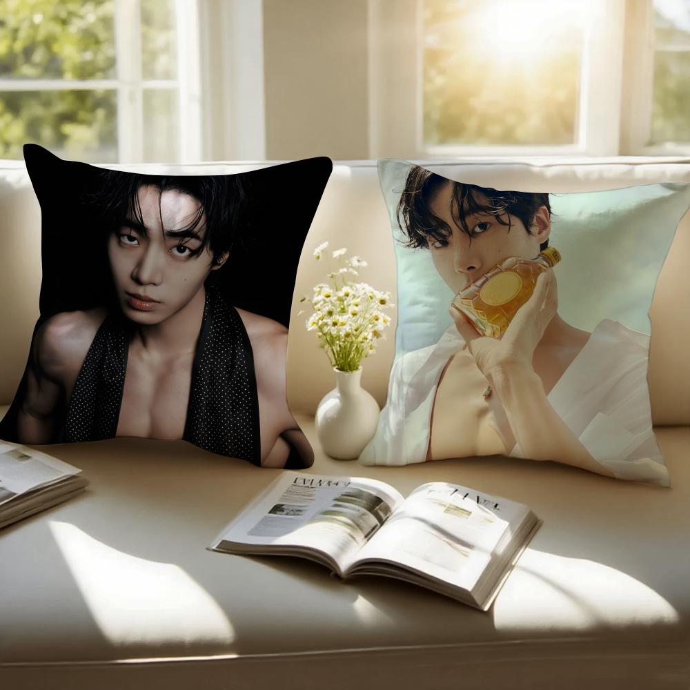 POP Korea CChoo YoungWoo Cushion Cover Pillowcase Antidustmite Invisible Zipper Short Plush Sofa Cushion