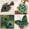 15 Pcs Real Peacock Feather Original Feathers morpankh for Craft Floral Flowers