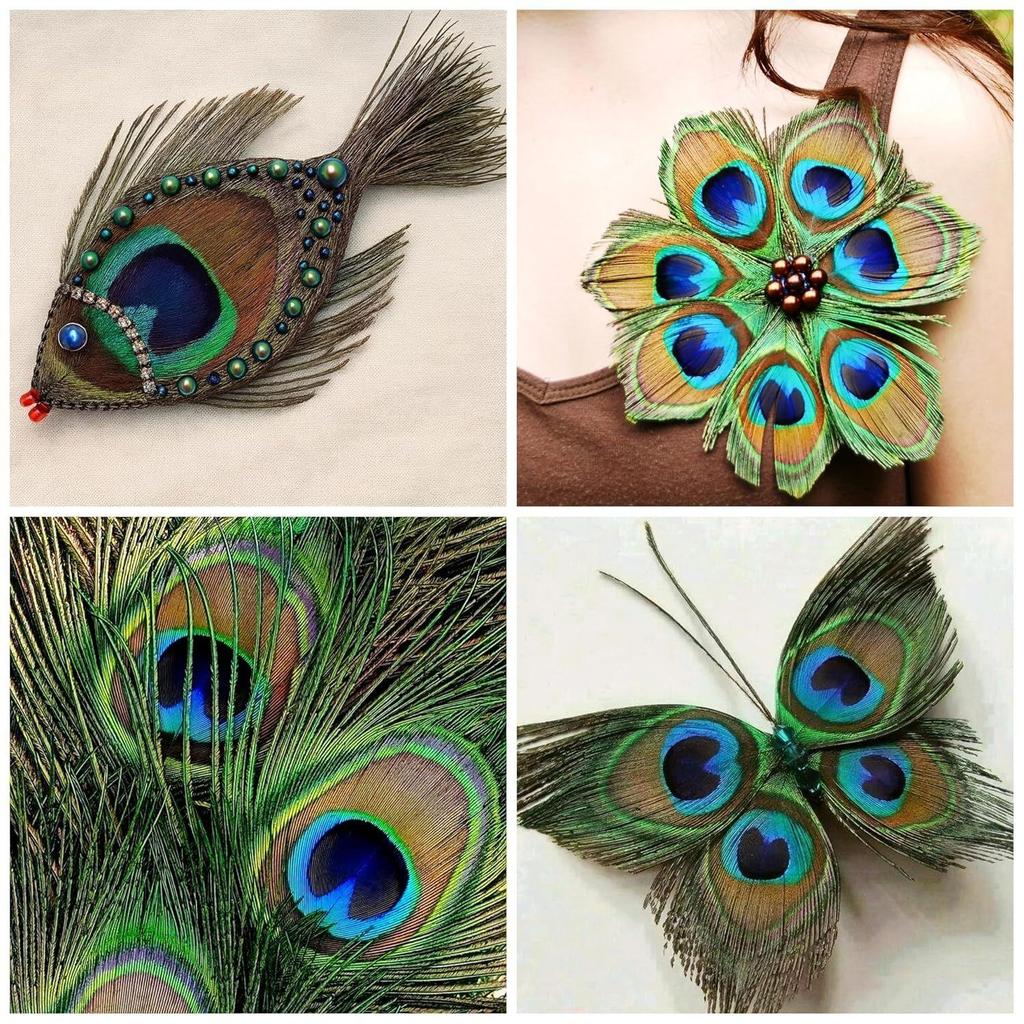 15 Pcs Real Peacock Feather Original Feathers morpankh for Craft Floral Flowers