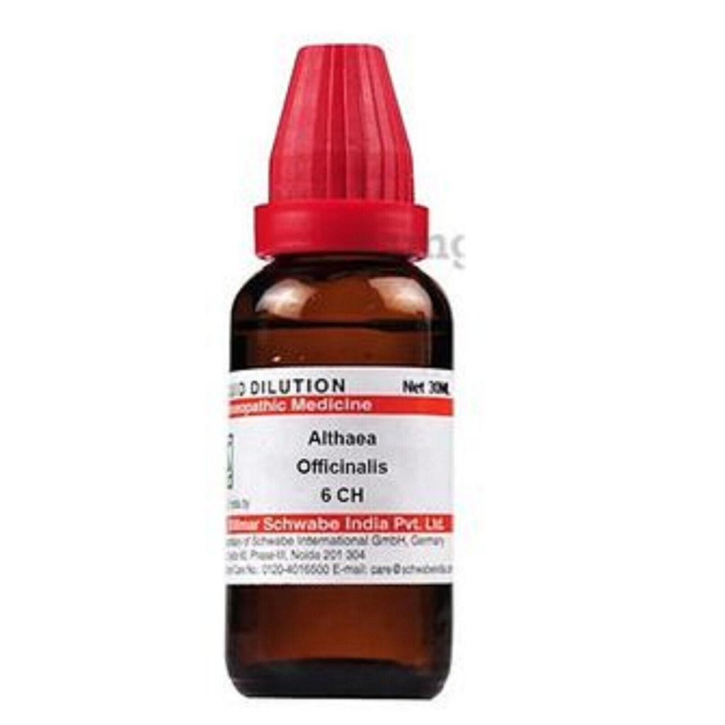 @ Dr Willmar Althea Officinalis 6CH Homoepathy Medicine 30ML A032 UKR230_60%OFF