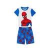 Childrens/Kids Brushed Cotton Short-Sleeved Pyjama Set