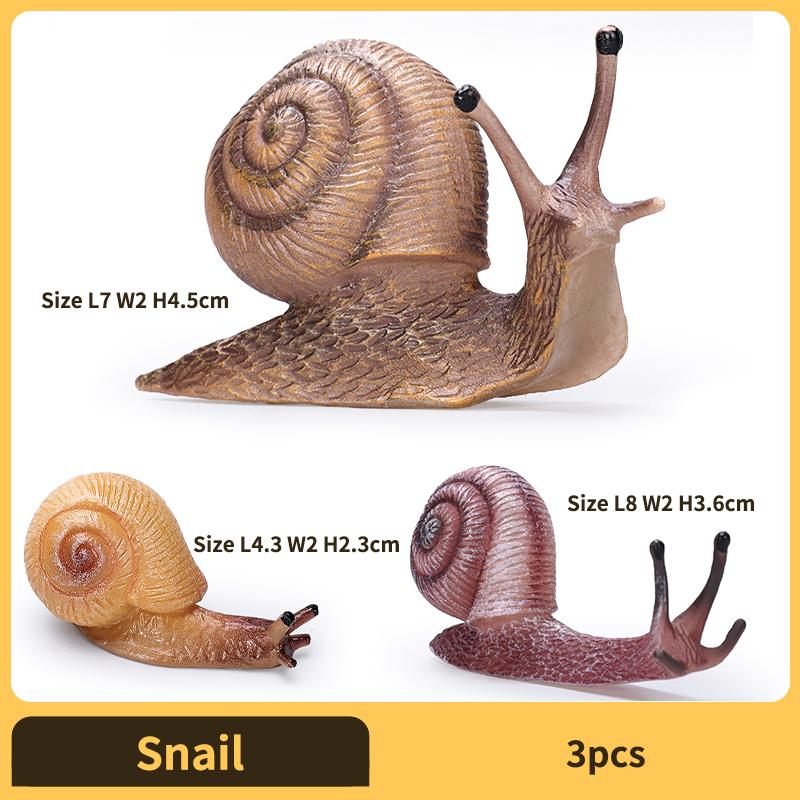 Realistic Snail Action Figure Toy - Collectible Animal Model, Educational Kids Gift