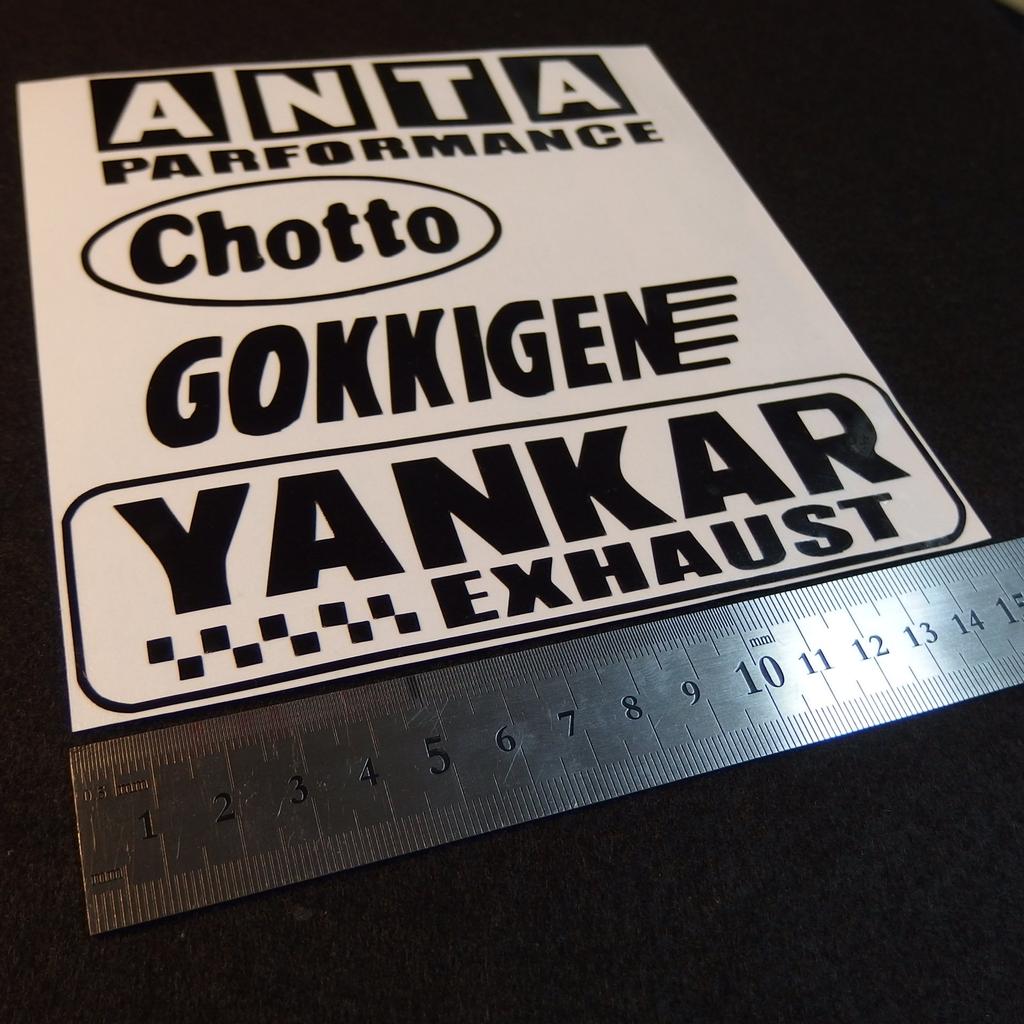 ACGY-01 Car Door Sticker