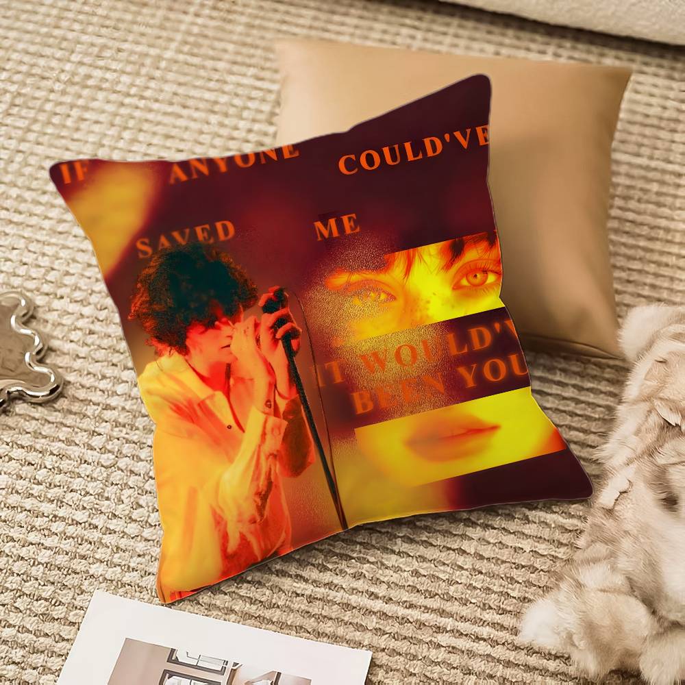 Sombr Pillow Case Anti-Dustmite Invisible Zipper Sofa Bed