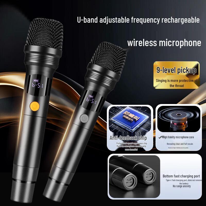 SAST SA-258plus Portable Karaoke Speaker with Display CN Plug (adapter Included)