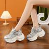 Fashion High Brand 10CM High Thick Bottom Shoes for Women Outdoor Sneakers Tide Trendy Breathable Mesh Ladies Wedges Platform Sneakers