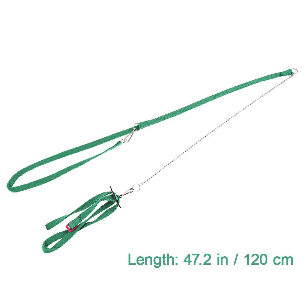 Reptilien Geschirr Leine 1,2m Verstellbar für Eidechse Outdoor Spaziergang Nylon Schnur Metallverschluss Passt Brustumfang Unter 23cm 0,7cm Breite Schnell