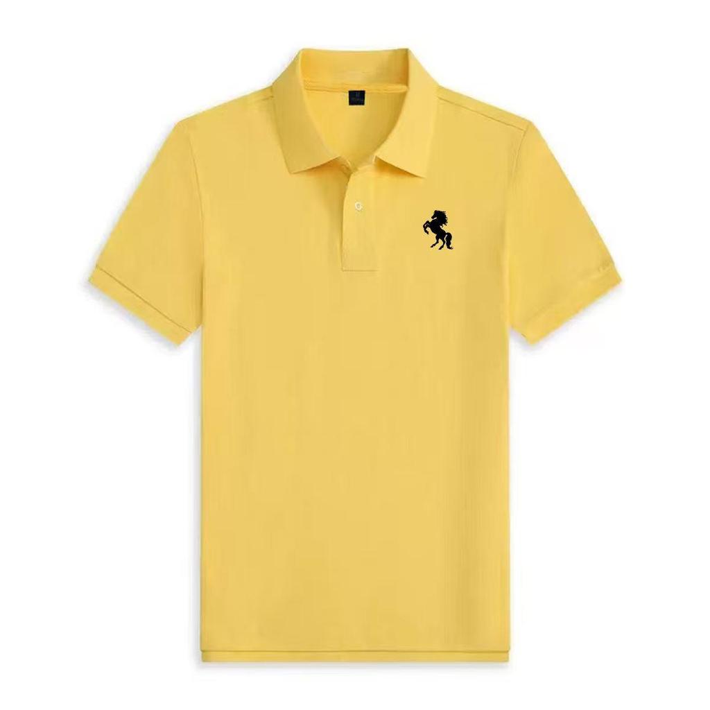 Schönes Herren-Poloshirt
