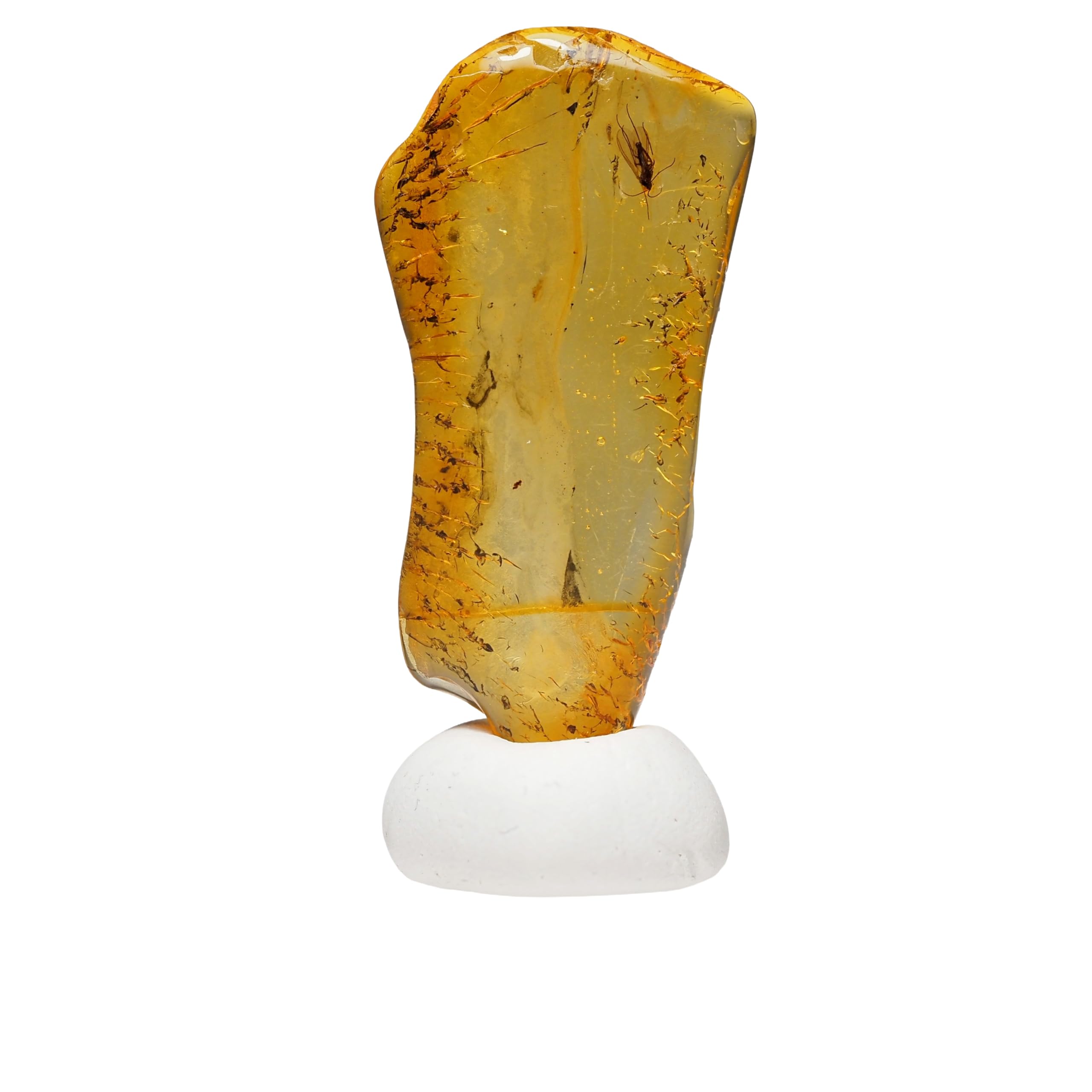 stone Natural Fossil Amber with Insect Specimen of a 29x14x4mm [N2 Natural] - (37  One kind  [Amber approx. 1g, Insect approx. 2mm])