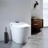 Stainless Steel Black Toilet Brush Set, Toilet Brush and Holder, Deodorizing Long Tube