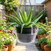 Yousheng Flower Pot Watering Tray, with Hooks Hanging Baskets, Ventilation Easy Installation Plant Tray, for Indoor Outdoor Hanging