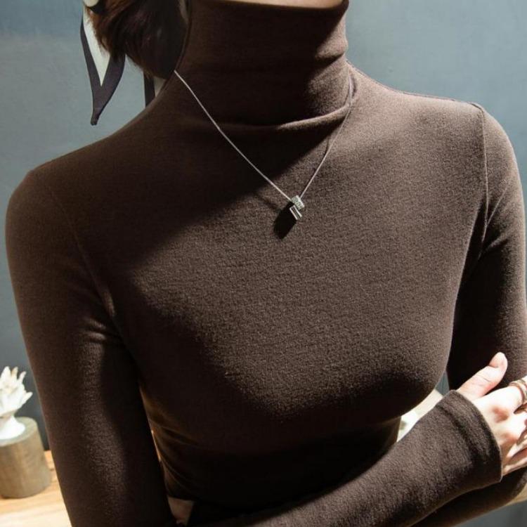 

Warm Winter Turtleneck Pullover Blouse Thick Women Bottoming Shirt 3XL