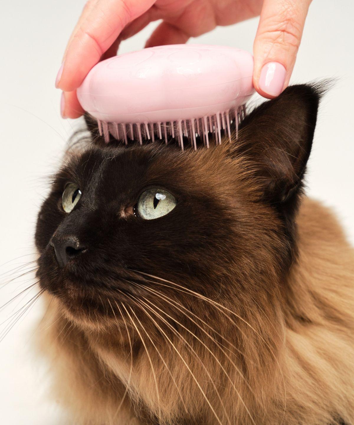 Choose 1 of 2 Cat Grooming Brushes pink