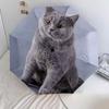 1PC cute cat pet Umbrella Portable Folding Umbrella Iron Frame Hole Bone Structure Outdoor Home Umbrella A2