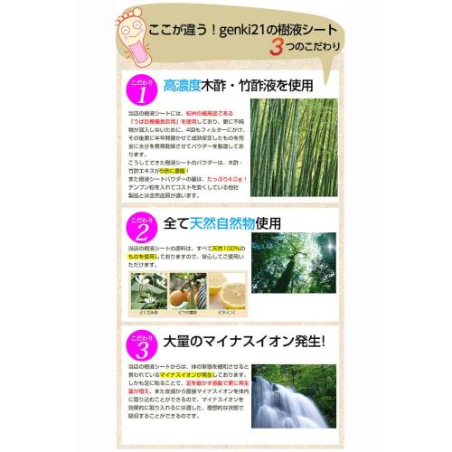 Genki21 "Zeolite Hydrogen Sap Sheets" 26 Sheets [Titanium Adhesive Tape Included]