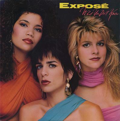 LP Record EXPOSE - What You Don't Know AL8532 Arista 1989 US Dance & Electronica Used