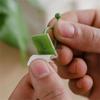 10/50/100pcs Home Garden Plant Climbing Wall Fixture Clips Rattan Vine Fixer Self-Adhesive Plant Climbing Wall Fixed Buckle Hook