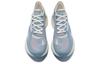 Li Ning 1990 Shadow RMX Vintage Low Top Sports Casual Shoes Men's Blue Gray ALFT033-3