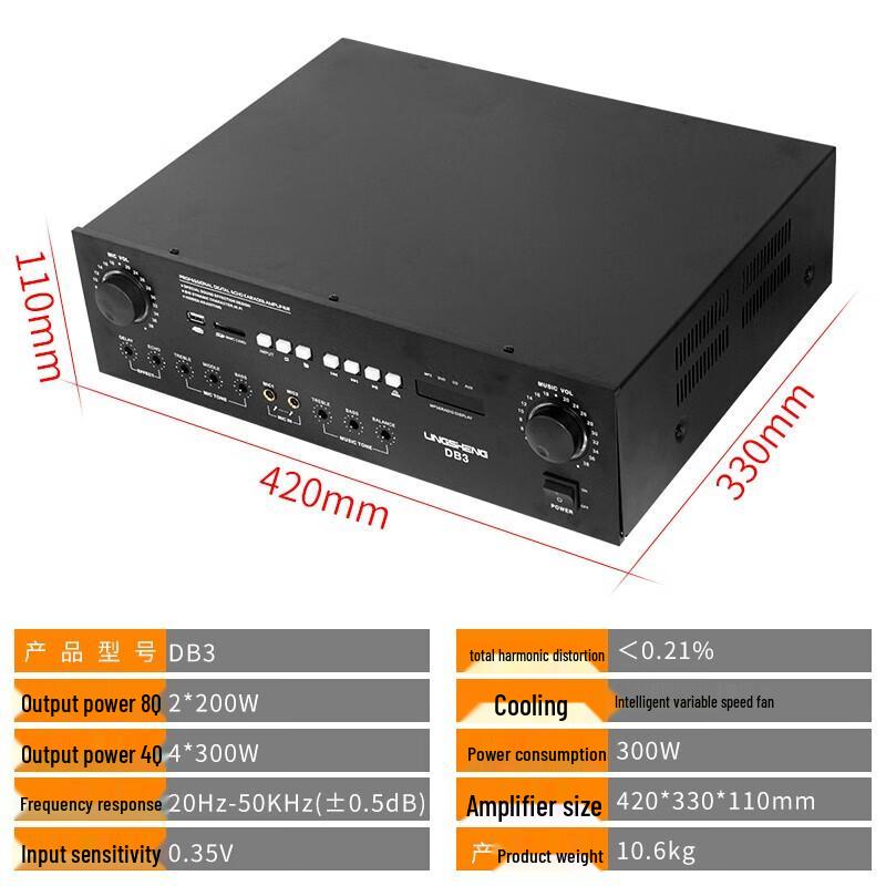 LINGSHENG Home Karaoke System with Speakers