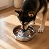Easy To Wipe Clean Slow Feeder Dog Bowl Low-Height Slow-Feed with