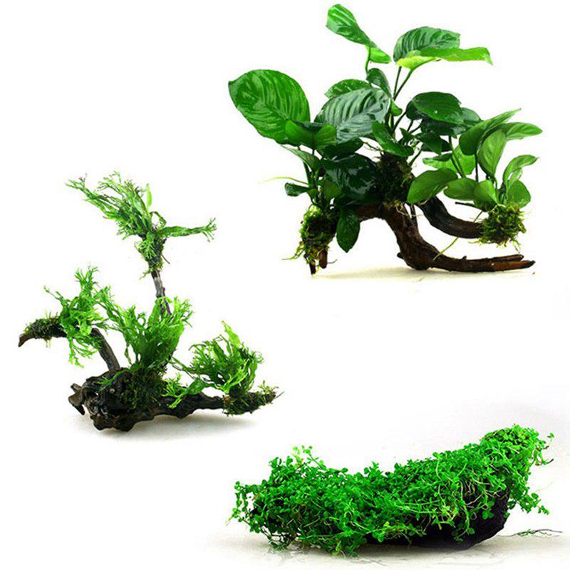 DIY Aquarium Landscape Moss Line Fern String Wire Transparent Grass Aquatic Live Plant