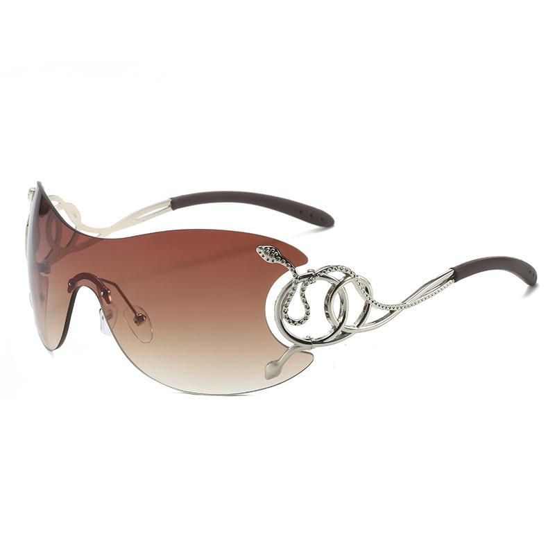 One-Piece Large-Frame Sunglasses, Personalized Y2K Cobra Snake Funny Sunglasses For Women