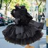 Dog Clothes Pet Dress with Removable for Weddings Birthdays Photos Floral Embroidery Bow Holiday Gift Costume for Dog Pet Gown