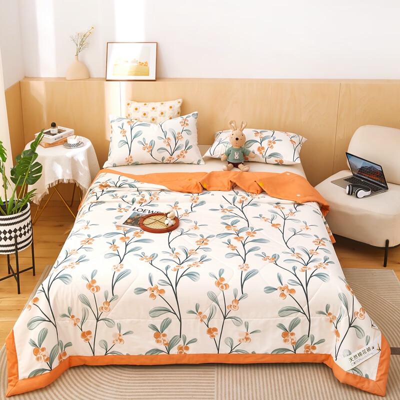 

Yalu Xinjiang Long-Staple Cotton Summer Quilt