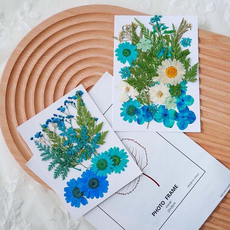 Handmade Pressed Flower Bookmark and Epoxy Sticker Pack with Real Leaf and Plant Specimens for DIY Face Makeup.