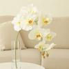98cm Fake Phalaenopsis Flower Real Touch Silk Phalaenopsis Orchid  Indoor Decor