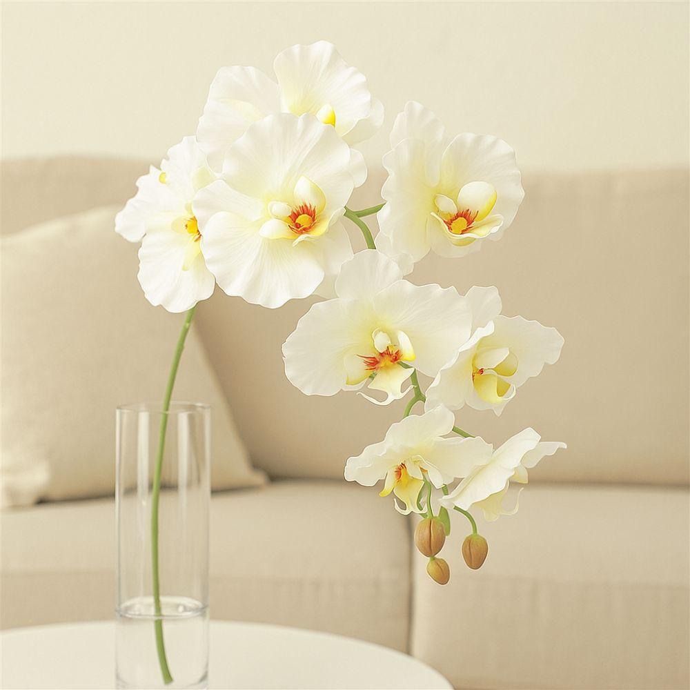 98cm Fake Phalaenopsis Flower Real Touch Silk Phalaenopsis Orchid  Indoor Decor