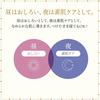 Majolica Majorca Amulet Veil Face Powder 7g Acne Prevention Medicated Cosmetic