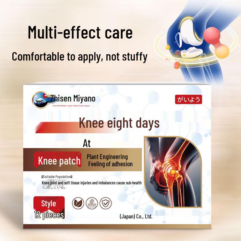 ZhisenmeiYe Japan Knee Pain Relief Patch for Soreness and Swelling