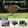 LS VISION Solar Wildlife 50MP 4K Video Trail Camera Night Vision 0.3s Motion Activated Waterproof Garden Camera Outdoor Hunting Monitoring
