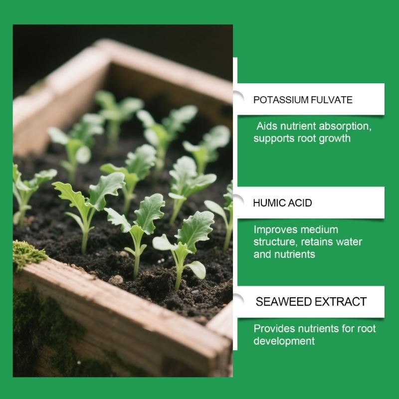 Plant Root Growth Stimulator Liquid Fertilizers Concentrate For Healthy Flowers And Trees Enhances Root Development