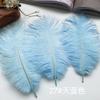 Ostrich Hair Colored Feathers 20-25Cm Wedding Table Lamp Decoration Stage Diy Material Clothing Accessories